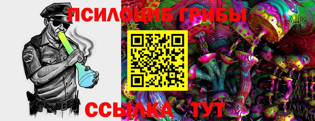 Галлюциногенные грибы Psilocybine cubensis Клин