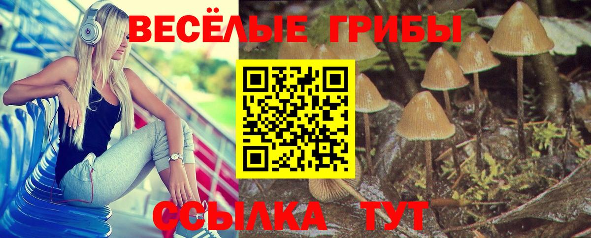 Клин  как найти   Вход с VPN  Псилоцибиновые грибы ЛСД 